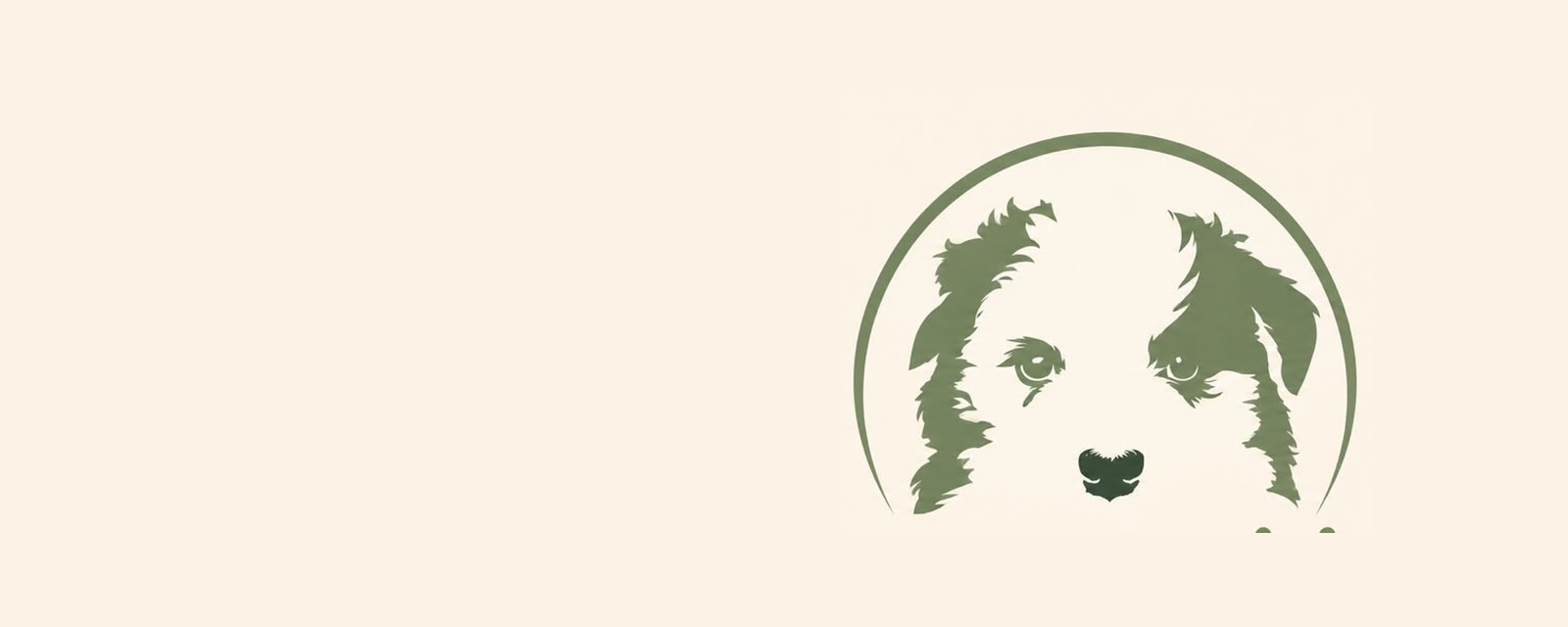 Doggito - cepillo 3 en 1 para mascotas, envío a toda Colombia